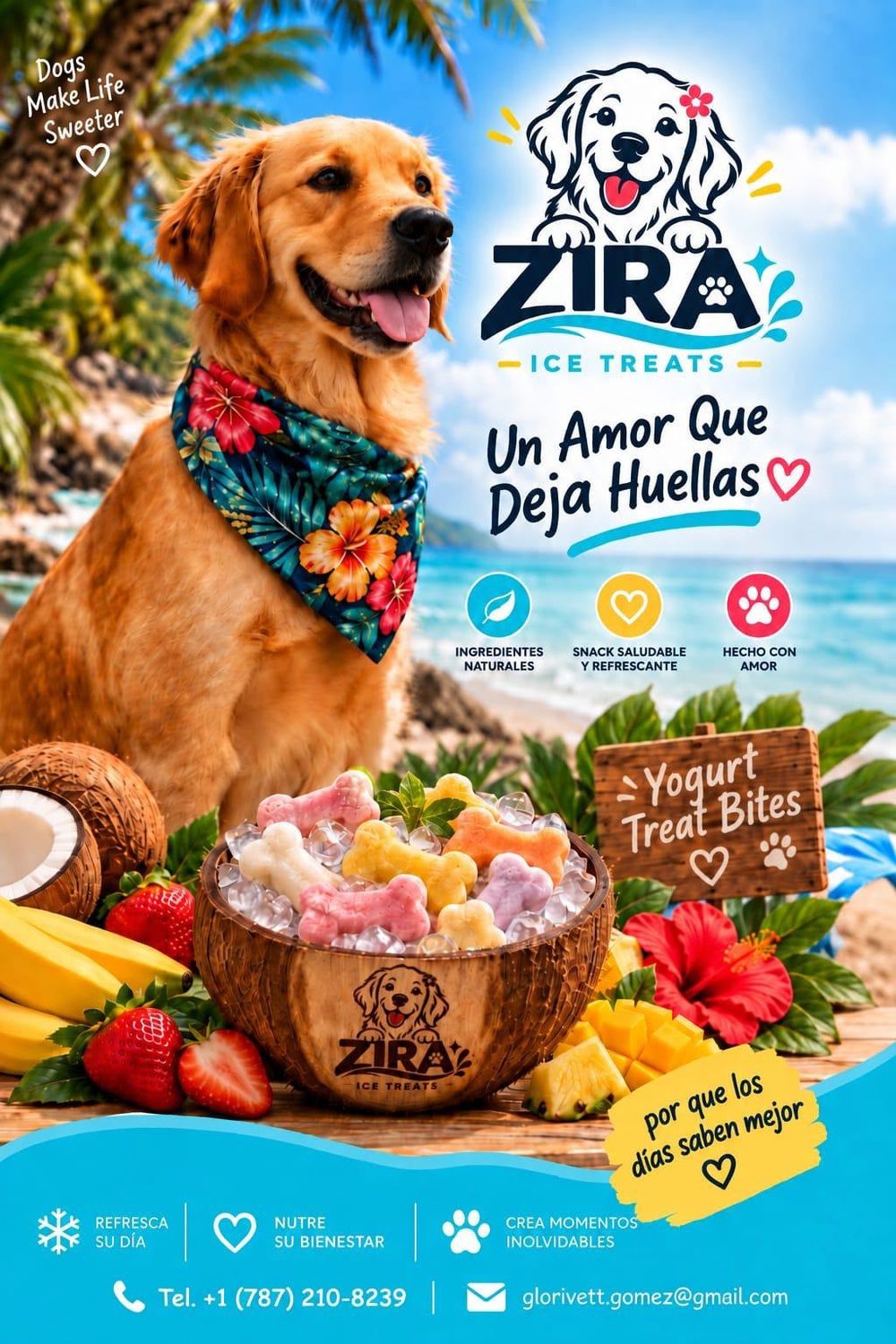 Perro golden retriever en la playa junto a un coco lleno de bocaditos de yogurt helado Zira Ice Treats sobre hielo, rodeado de fresas, mango, piña y coco.